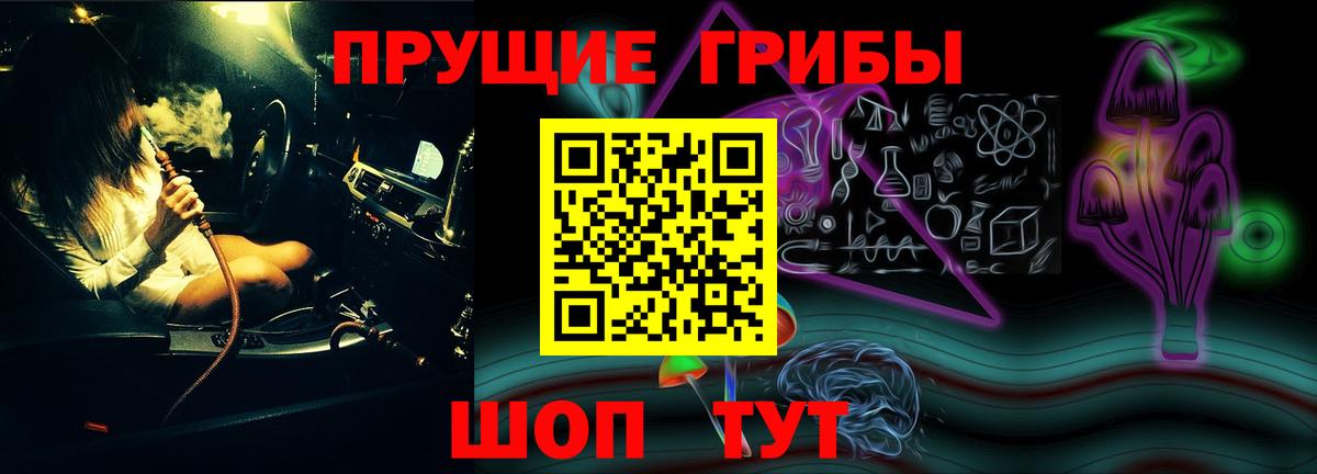 наркота  Псилоцибиновые грибы Psilocybe  Вход с VPN  Полысаево 